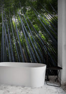Tall Bamboo Tree Forest Wall Mural. Peaceful, Serenity, Zen Background Wallpaper.