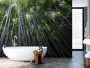 Tall Bamboo Tree Forest Wall Mural. Peaceful, Serenity, Zen Background Wallpaper.