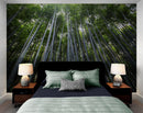 Tall Bamboo Tree Forest Wall Mural. Peaceful, Serenity, Zen Background Wallpaper.