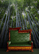 Tall Bamboo Tree Forest Wall Mural. Peaceful, Serenity, Zen Background Wallpaper.