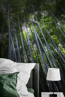 Tall Bamboo Tree Forest Wall Mural. Peaceful, Serenity, Zen Background Wallpaper.