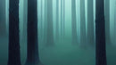 Foggy Forest Wall Mural. Emerald Green Mist Wallpaper.