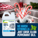 Drain and Fruit Fly Eliminator