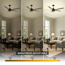 65" Modern DC Motor Downrod Mount Reversible Ceiling Fan with Lighting And Remote Control