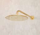 Antique Brass Shower with Single Handle