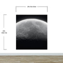 Moon Wallpaper. Black and White Wall Decor.