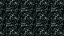 Tropical Leaves In a Dark Jungle Background Wallpaper