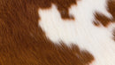 Country-Style Cowhide Wallpaper for Rustic Home Decor.