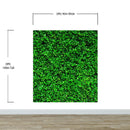 Greenery Grass Background Wallpaper Mural.