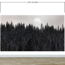 Foggy Forest Wall Mural. Peel and Stick Wallpaper. Monotone Grey Nature Wallpaper. Rain Forest Wall Mural.