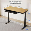 Electric Standing Desk With USB Ports And Adjustable Height