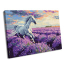 Painting by Numbers kit In the lavender fields KHO6659
