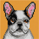 "My first embrodiery" kit. Nedlepoint (half stitich) kit  "Bulldog" 6764