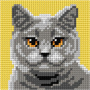 British Cat Pet Portrait First Needlepoint Kit by Orchidea 6766