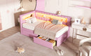 Upholstered Twin Size Platform Bed with USB Ports and LED Belt, With 2 Drawers, Pink