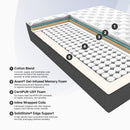 Club Signature III Luxury Firm (FLOOR SAMPLE)