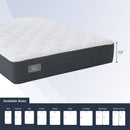 Westbourne II Plush
