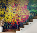 Colorful Autumn Trees Wallpaper Mural.