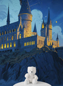 Magical Hogwarts Castle Twilight Wallpaper Mural. Wizardly World Fantasy Theme Wall Art.