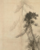 Pine Trees III