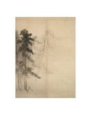Pine Trees II