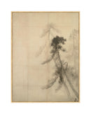 Pine Trees III