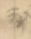 Pine Trees I