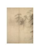 Pine Trees I