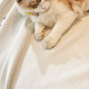 Reversible Chenille Sofa Covers for Pets, Large Throw Blanket for Couch, Blanket on The Sofa