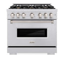 ZLINE 36" Dual Fuel Range, Gas Cooktop, Electric Convection Oven Stainless Steel, CDR-BR-36