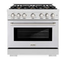 ZLINE 36" Select Gas Range Convection Gas Oven DuraSnow® Stainless Steel Brass Burners HGRS-BR-36