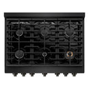 ZLINE 36"Paramount Dual Fuel Range Black Stainless Steel, SDRB-36