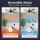 52 Inch Farmhouse LED Ceiling Fan Oil Rubbed Bronze