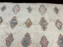 Large Modern Contemporary Indian Shag Rug 11x14, Ivory, Handmade Wool Carpet