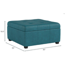 CARLSBAD STORAGE OTTOMAN
