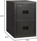 Black 2 Drawer Fire Safe Legal Letter File Cabinet