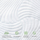 Queen Size Heated Mattress Pad with 10 Heat Settings