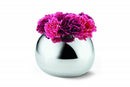 Bella Vases: S