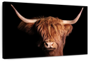 Scottish Highland Cow Wall Art