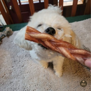 6 Inch Standard Braided Bully Stick