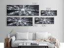 Redwood Trees, Forest Canopy, Looking Upward, Canvas Print, Black and White Nature Art, Meditation Room Decor, Minimalist Wall Art