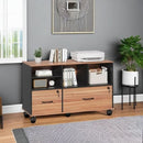 Wooden 2 Drawer File Cabinet Lockable Rolling with Adjustable Shelves Rustic Brown and Black