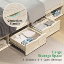 Queen Size Farmhouse Storage Bed With LED Lighting