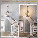 Industrial Black and Gold 4 Light Chandelier With Adjustable Chain