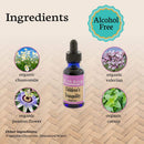Children's Tranquility, Children's Sleep Aid Relaxing Herbal Tincture 1 oz.