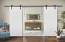 Planum 0010 White Silk Barn Door Slab