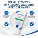 Vanicream Daily Facial Moisturizer With Ceramides and Hyaluronic Acid - Formulated Without Common Irritants for Those with Sensitive Skin, 3 fl oz (Pack of 12)