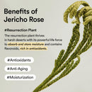 Abib Non-animal Collagen Eye Cream Jericho Rose Tube, 1.01 fl. oz.(30 mL), Anti-Aging Eye Cream with Bakuchiol, Caffeine, Niacinamide for Dark Circles, Puffiness, Wrinkles, Fine Lines, Korean Skincare