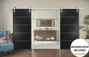 Planum 0020 Matte Black Double Barn Door and Silver Rail