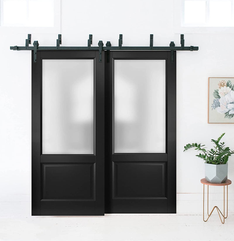 Lucia 22 Matte Black Double Barn Door with Frosted Glass | Black Bypass Rail